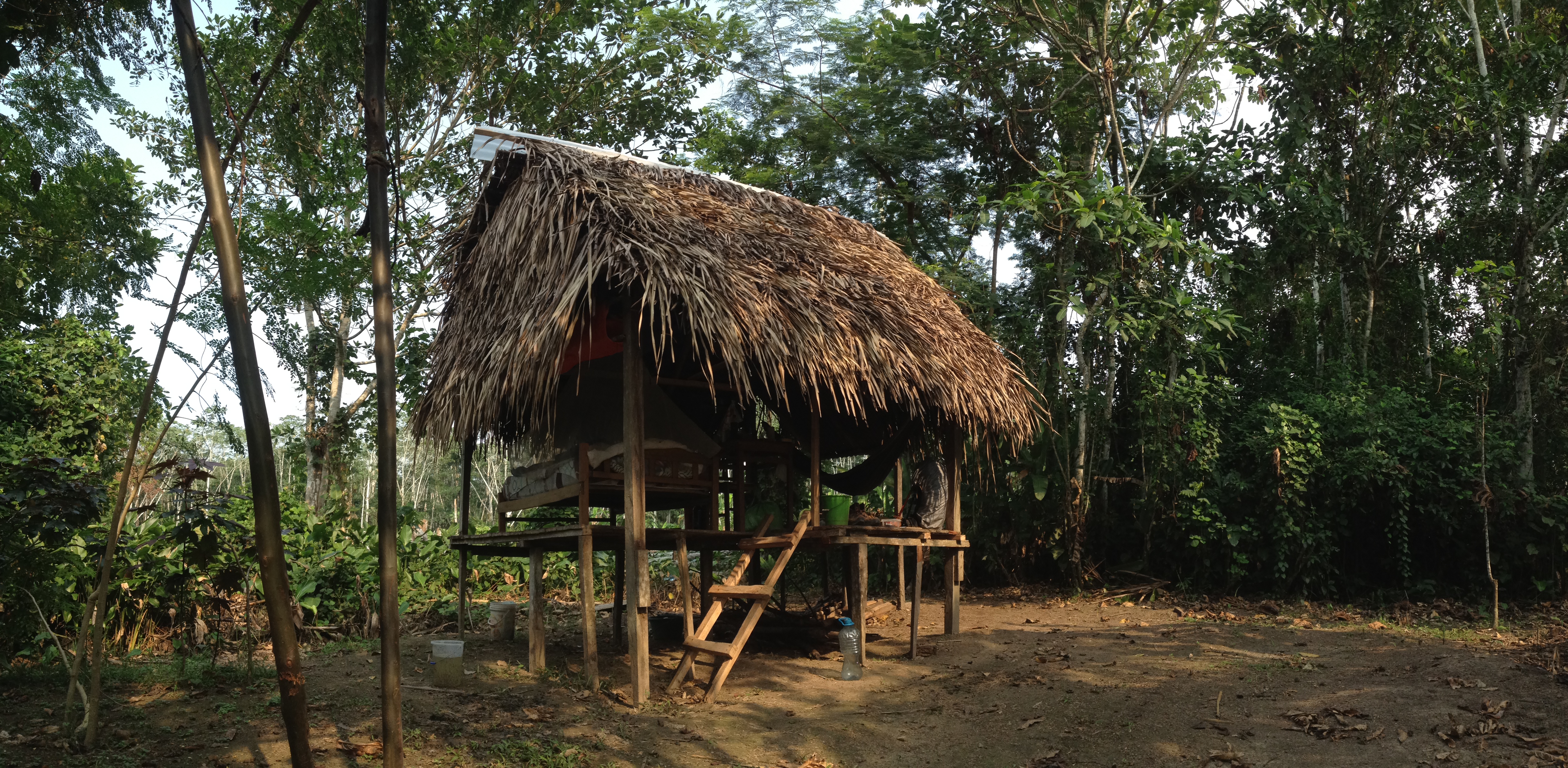 Casita dans la forêt